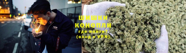 ешки Аркадак